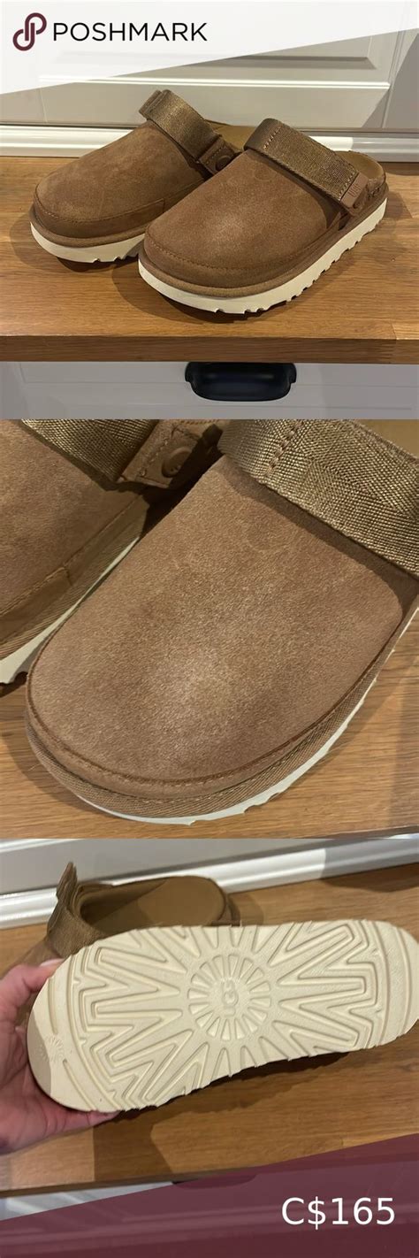 splurge ugg golden star.